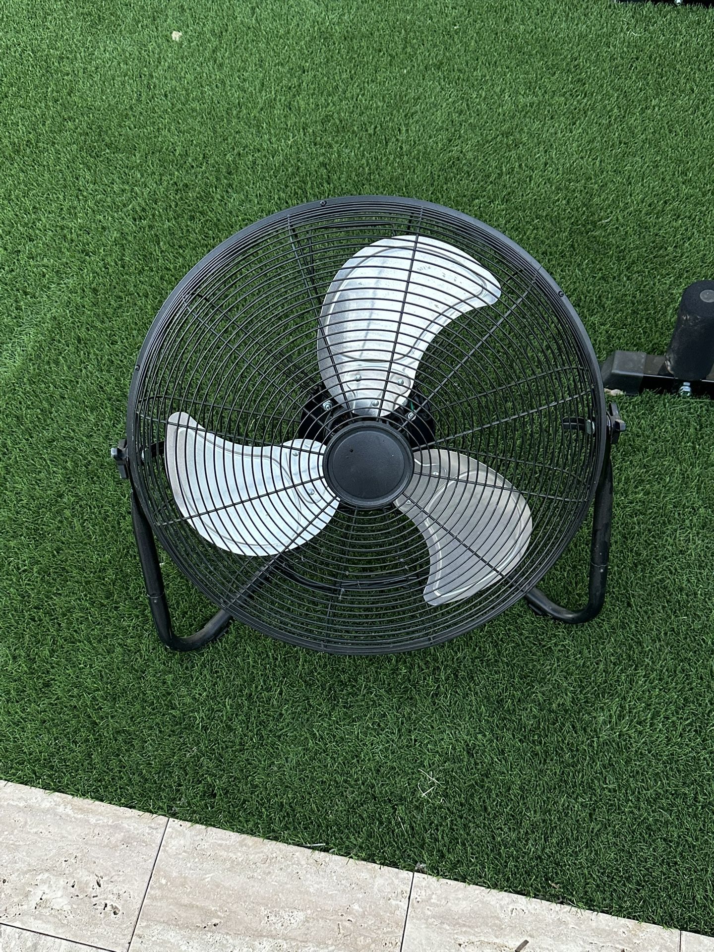 Fan