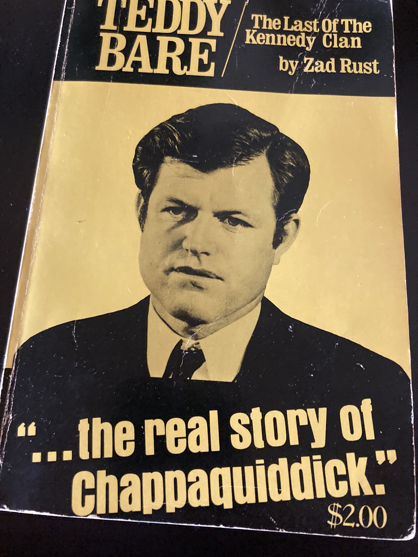 Robert Kennedy Book Chappaquidick