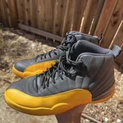 Jordan 12s