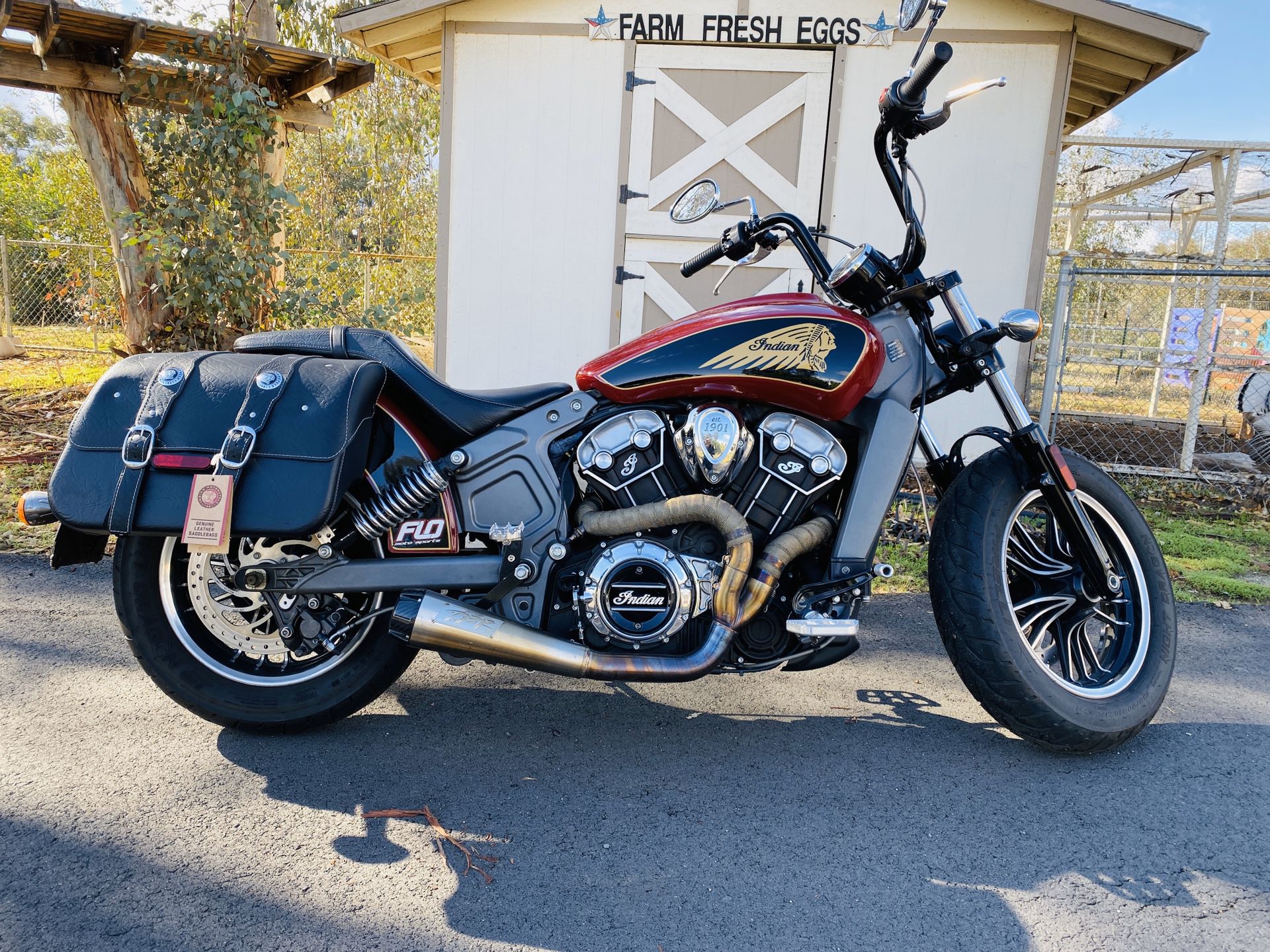2016 Indian Scout under warranty and under 16,000 miles