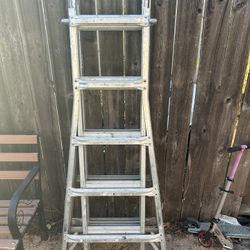 Ladder 