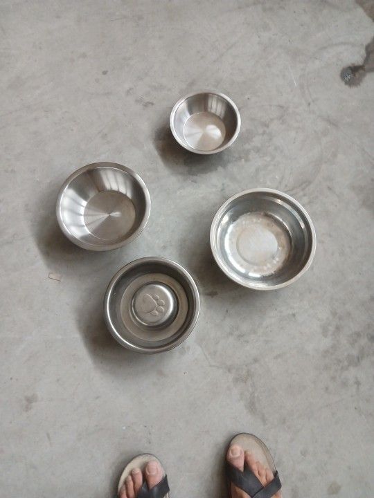 Dog Bowls/slow Feed