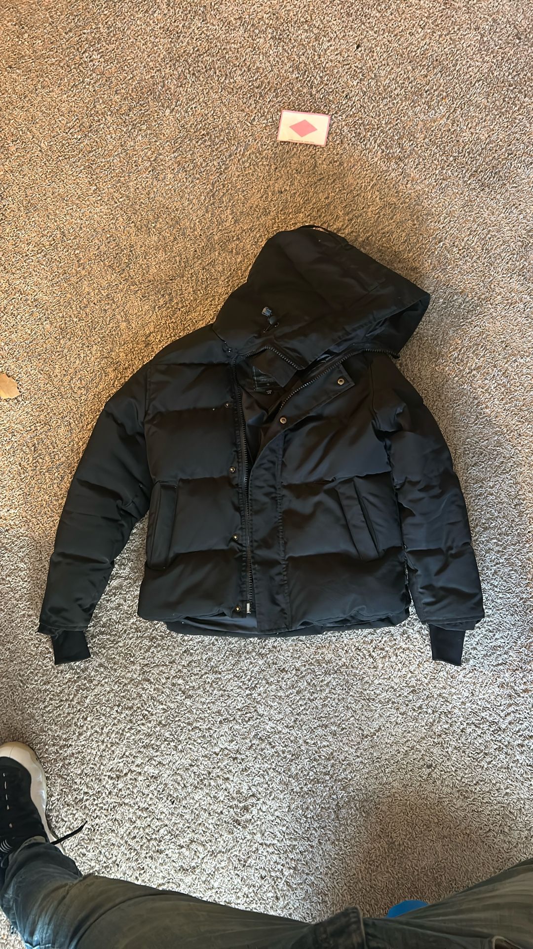 Canada Goose