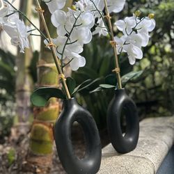 Orchid House Plant Decor