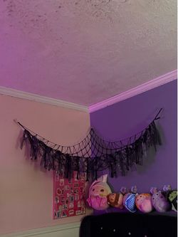 Squishmellows /hanging net