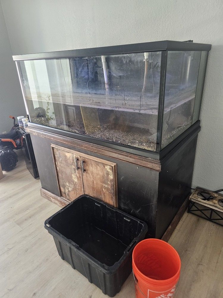 240 Gallon Dual Overflow Aquarium/ Tank