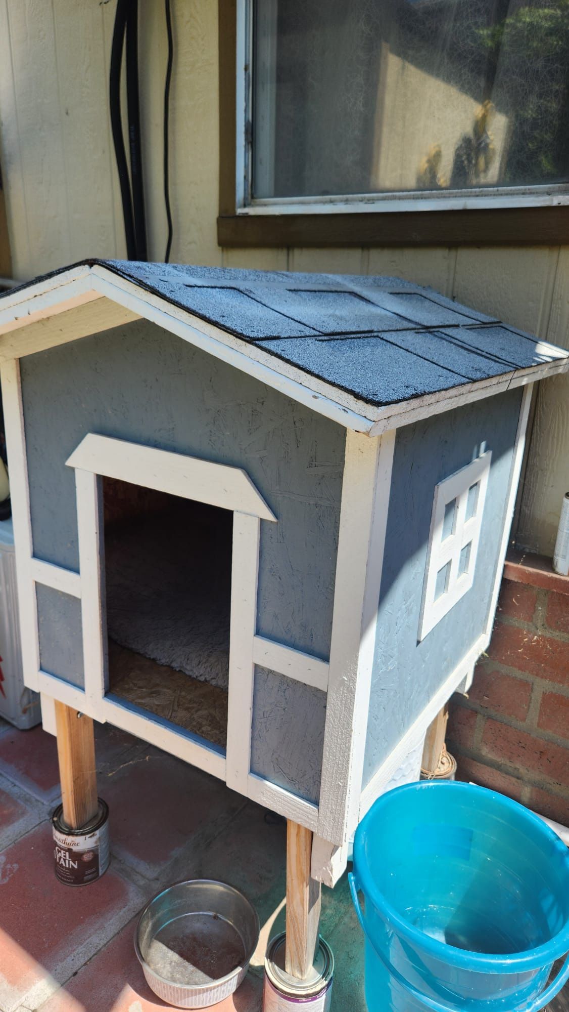 Médium Dog House