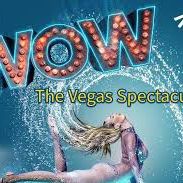 Las Vegas Wow Show 