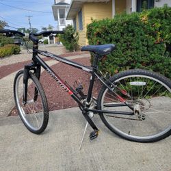 Raleigh Mountain 16” Bike 