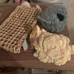 Reptile Decor