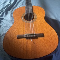 Acoustic Guitar 
