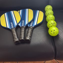 Free Pickle paddle And Balls 