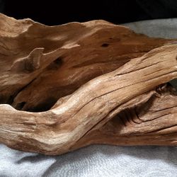 Natural River Driftwood