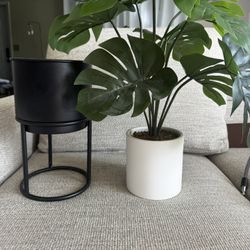 Artificial Plant & Stand 