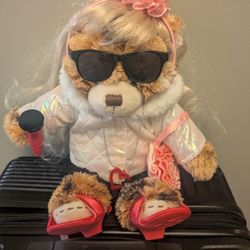 Fully Clothed Build A Bear Teddy