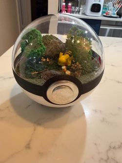 PIKACHU (Large 5.5inch) Pokeball Diorama Terrarium - Sleeping Version.