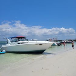 Sea Ray Sundance 330