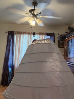 Petticoat