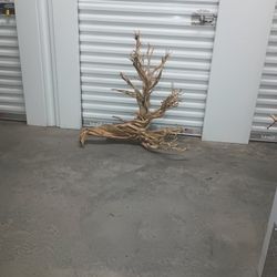 Home Decor Driftwood 