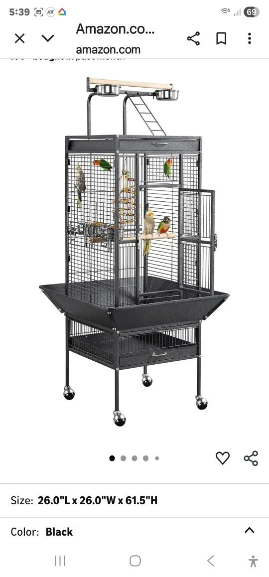 Bird Cage