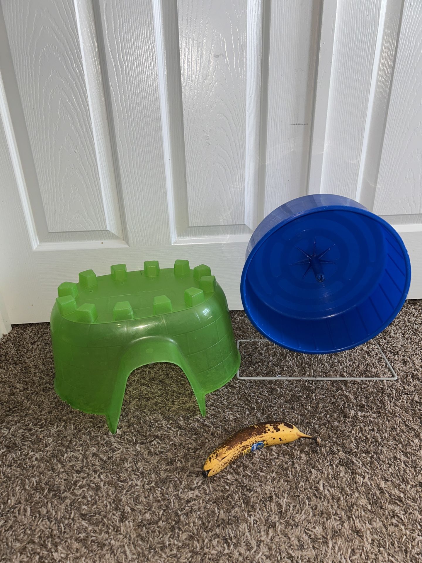 Animal Igloo And Comfort Wheel