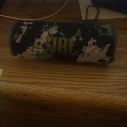Jbl Flip 6 