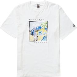 Supreme The North Face T-shirt Medium