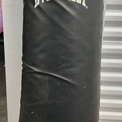 Punching Bag