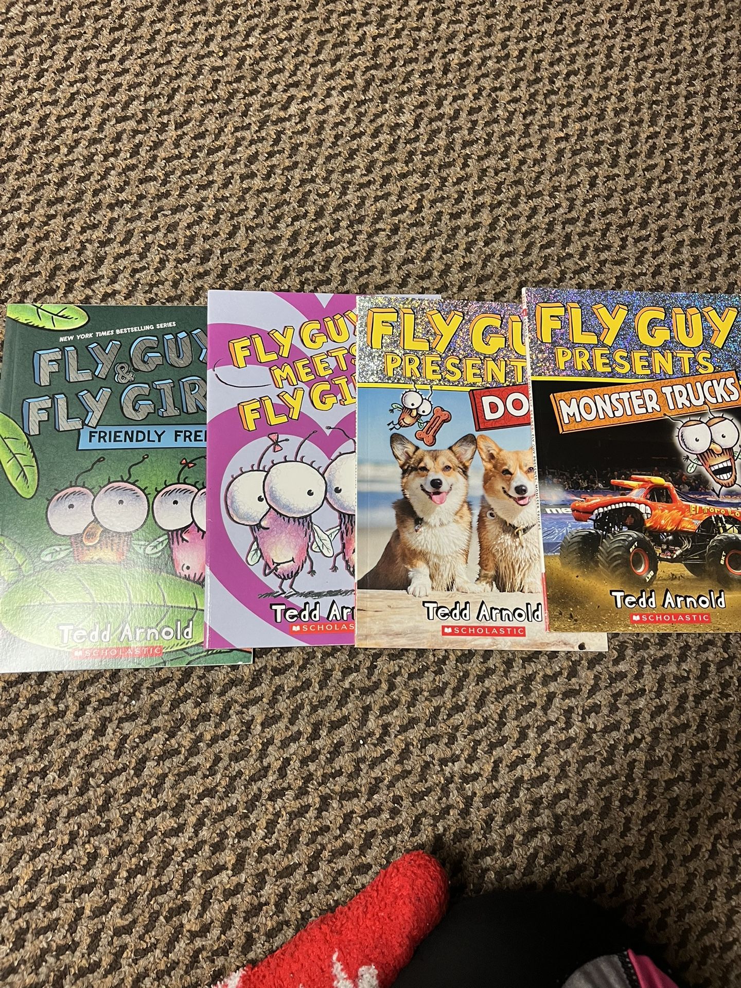 20 Books- Fly Guy, Clifford , Etc. All Step 1 & 2 Books