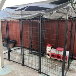 Dog Kennel 