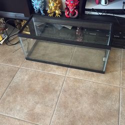 20 Gallon Fish Tank Richmond Tx 77407