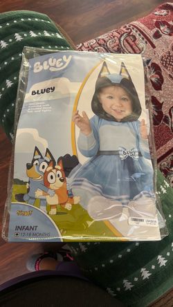 Bluey costume