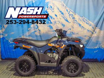 2026 Kawasaki Brute Force 300