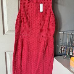 NWT Pink Old Navy Dress Size Large 