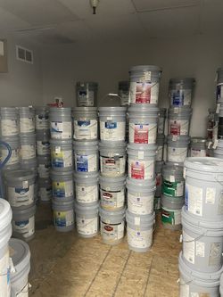Pintura Nueva