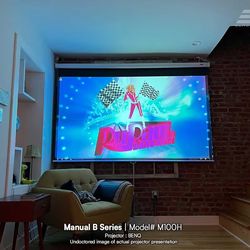 100” Projector Screen