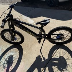 Voltaic 20” E-bike 48 Volt