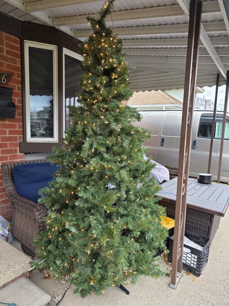 Christmas Tree 7.5ft
3 piece plug & done with stand
BLACK FRIDAY SPECIAL $80