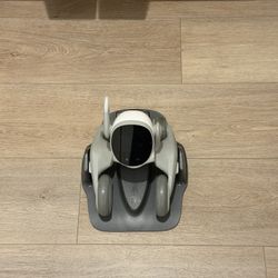 Pet Robot Luna