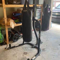 Everlast Heavy/Speed Bag