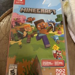 Minecraft Nintendo switch game
