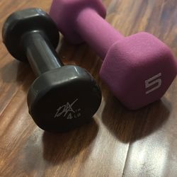 Workout Dumbbells  