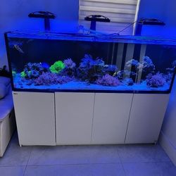 Fish Tank Redsea Xxl900