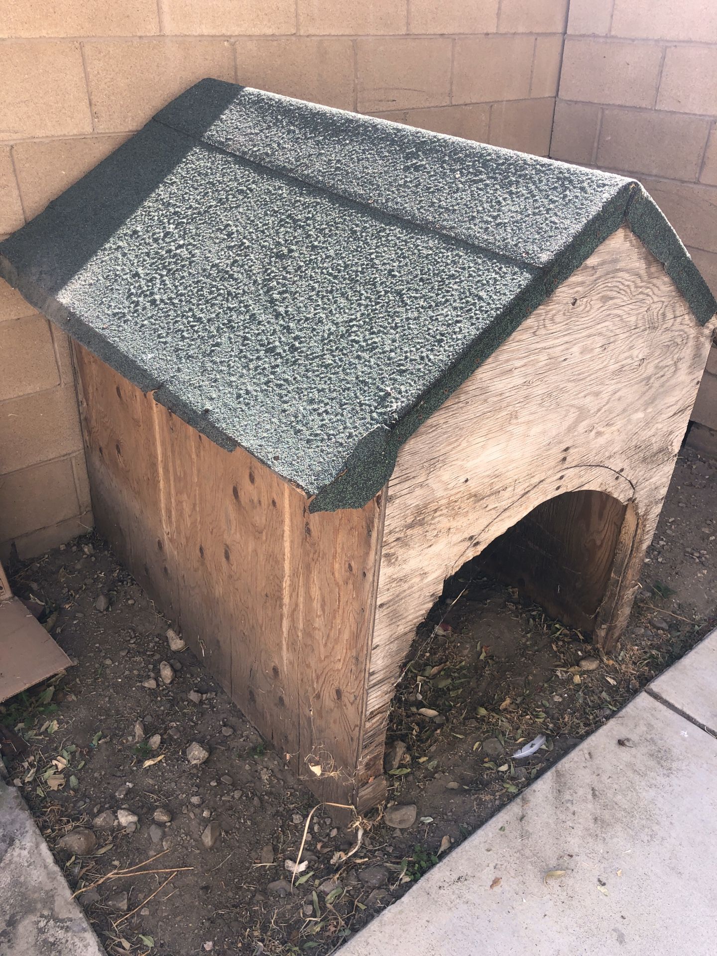 Dog House