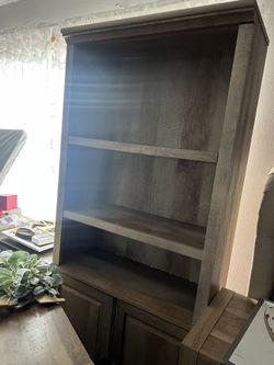 Bookcase with Doors