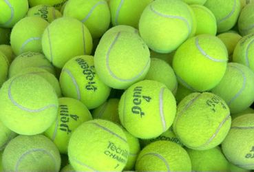 Over 500 Used Tennis Balls