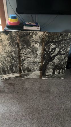 3 canvas forest walk way picture