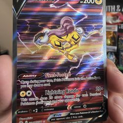 Raikou V