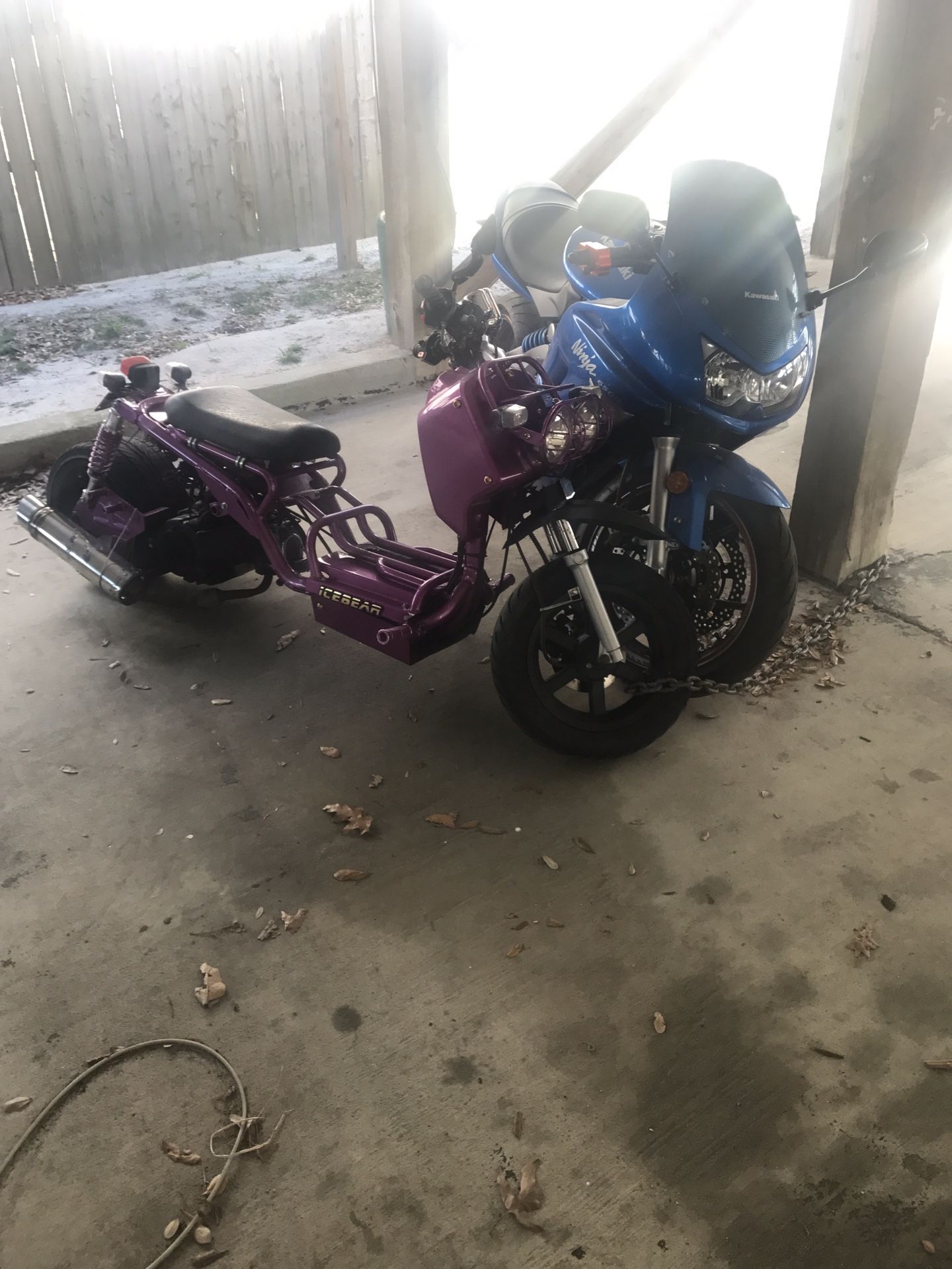 Ice bear Maddog 150cc