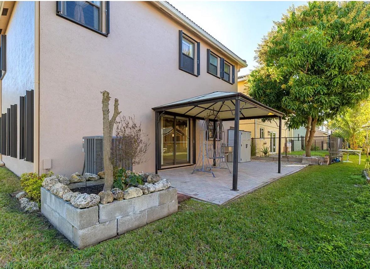 FREE MANGO TREES (4) REMOVAL NEEDED